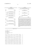 Plant Promoters, Terminators, Genes, Vectors and Related Transformed Plants diagram and image