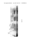 Electronic Assemblies Without Solder and Methods for their Manufacture diagram and image