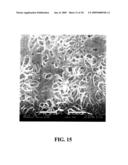 Composite Materials Comprising Supported Porous Gels diagram and image