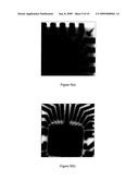 LANTHANIDE HALIDE MICROCOLUMNAR SCINTILLATORS diagram and image