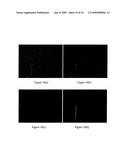 LANTHANIDE HALIDE MICROCOLUMNAR SCINTILLATORS diagram and image