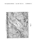 High-Resolution, Nondestructive Imaging of Dielectric Materials diagram and image