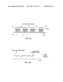 SIGNALING METHOD IN AN OFDM MULTIPLE ACCESS SYSTEM diagram and image