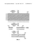 SCHRYPTION METHOD AND DEVICE diagram and image