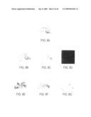 SYSTEM AND METHOD FOR IDENTIFYING FEATURE OF INTEREST IN HYPERSPECTRAL DATA diagram and image