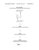 Methods of Identifying Antibodies to Ligands of Orphan Receptors diagram and image