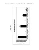 Isolated cells and populations comprising same for the treatment of CNS diseases diagram and image