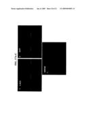 Isolated cells and populations comprising same for the treatment of CNS diseases diagram and image