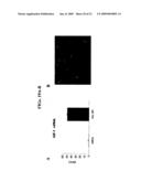 Isolated cells and populations comprising same for the treatment of CNS diseases diagram and image