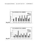 METHODS AND COMPOSITIONS FOR OPTIMIZED EXPANSION AND IMPLANTATION OF MESENCHYMAL STEM CELLS diagram and image