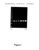 Materials and Methods for Diagnosis and Treatment of Chronic Fatigue Syndrome diagram and image