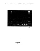 Materials and Methods for Diagnosis and Treatment of Chronic Fatigue Syndrome diagram and image