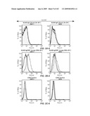 Apoptotic Anti-IgE Antibodies diagram and image