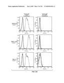 Apoptotic Anti-IgE Antibodies diagram and image