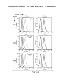 Apoptotic Anti-IgE Antibodies diagram and image