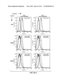 Apoptotic Anti-IgE Antibodies diagram and image