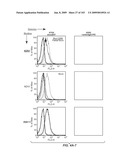 Apoptotic Anti-IgE Antibodies diagram and image