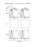 Apoptotic Anti-IgE Antibodies diagram and image