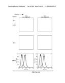 Apoptotic Anti-IgE Antibodies diagram and image