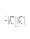 Apoptotic Anti-IgE Antibodies diagram and image