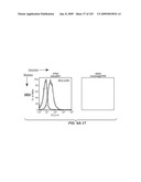 Apoptotic Anti-IgE Antibodies diagram and image