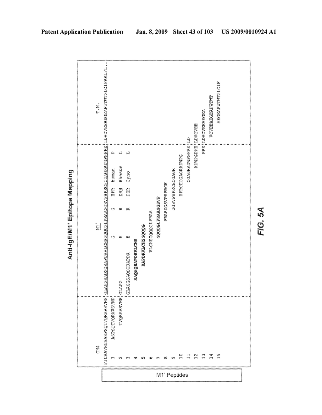 Apoptotic Anti-IgE Antibodies - diagram, schematic, and image 44