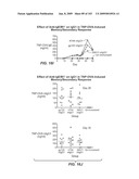 Apoptotic Anti-IgE Antibodies diagram and image