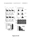 Mapkap kinase-2 as a specific target for blocking proliferation of P53-defective cells diagram and image