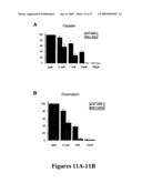 Mapkap kinase-2 as a specific target for blocking proliferation of P53-defective cells diagram and image