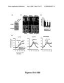 Mapkap kinase-2 as a specific target for blocking proliferation of P53-defective cells diagram and image