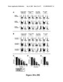 Mapkap kinase-2 as a specific target for blocking proliferation of P53-defective cells diagram and image