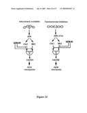 Mapkap kinase-2 as a specific target for blocking proliferation of P53-defective cells diagram and image