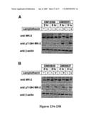 Mapkap kinase-2 as a specific target for blocking proliferation of P53-defective cells diagram and image