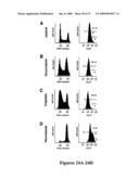 Mapkap kinase-2 as a specific target for blocking proliferation of P53-defective cells diagram and image