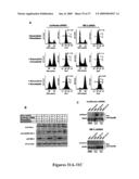 Mapkap kinase-2 as a specific target for blocking proliferation of P53-defective cells diagram and image