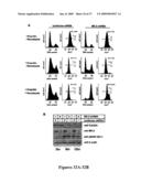 Mapkap kinase-2 as a specific target for blocking proliferation of P53-defective cells diagram and image