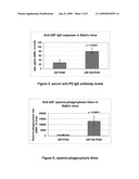 Pneumococcal Polysaccharide Conjugate Vaccine diagram and image