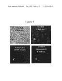 STEROID LIPID-MODIFIED POLYURETHANE AS AN IMPLANTABLE BIOMATERIAL, THE PREPARATION AND USES THEREOF diagram and image