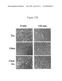 STEROID LIPID-MODIFIED POLYURETHANE AS AN IMPLANTABLE BIOMATERIAL, THE PREPARATION AND USES THEREOF diagram and image