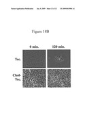 STEROID LIPID-MODIFIED POLYURETHANE AS AN IMPLANTABLE BIOMATERIAL, THE PREPARATION AND USES THEREOF diagram and image