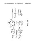 BIOSENSORS BASED ON DIRECTED ASSEMBLY OF PARTICLES diagram and image