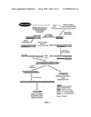 METHODS FOR CLONING SMALL RNA SPECIES diagram and image