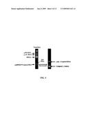 METHODS FOR CLONING SMALL RNA SPECIES diagram and image