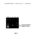 METHODS FOR CLONING SMALL RNA SPECIES diagram and image