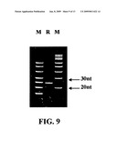 METHODS FOR CLONING SMALL RNA SPECIES diagram and image