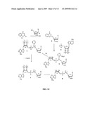 METHODS FOR CLONING SMALL RNA SPECIES diagram and image