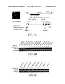 Cancer-suppressing agents diagram and image