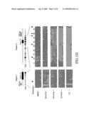 Cancer-suppressing agents diagram and image