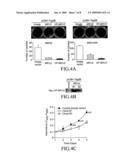 Cancer-suppressing agents diagram and image