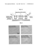 Fluid Membrane-Based Ligand Display System for Live Cell Assays and Disease Diagnosis Applications diagram and image